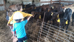 We were blessed with a special opportunity to see and pet some of this year’s calves at Broadrun Farms in Beaver Falls.